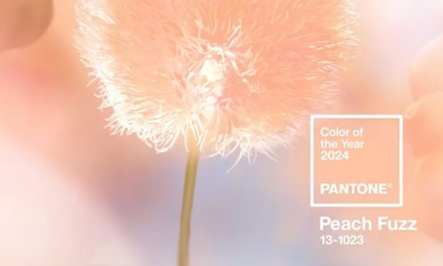 Peach Fuzz, el color Pantone 2024 | Leandra